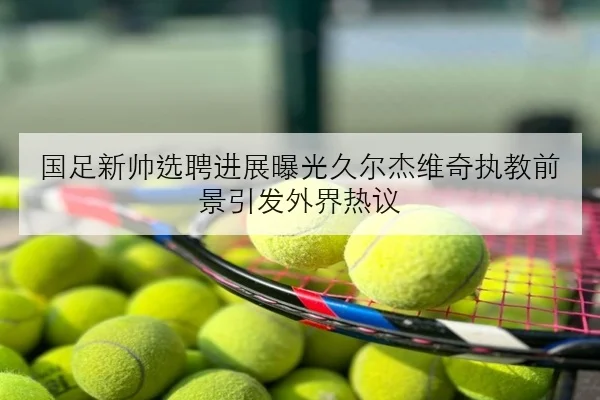 国足新帅选聘进展曝光久尔杰维奇执教前景引发外界热议