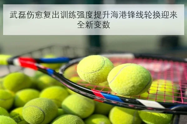 武磊伤愈复出训练强度提升海港锋线轮换迎来全新变数
